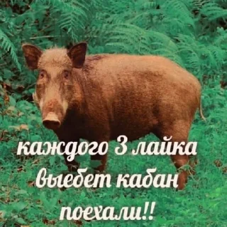 😀 emoji приколы Telegram sticker 10 of 60
