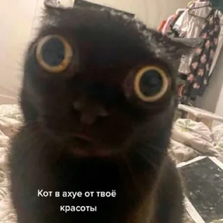 💋 emoji кто прочитал у того самая лучшая мама Telegram sticker 6 of 69