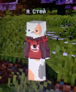 Sticker from 📹 Видео