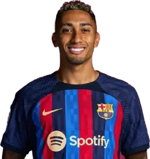 ⚽️ emoji FC Barcelona Telegram sticker 10 of 16
