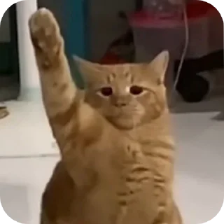 Sticker from Странные коты 😐