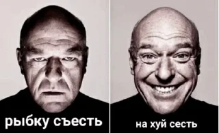 🌟 emoji Creckeryeban Telegram sticker 23 of 75