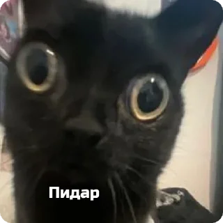 👎 emoji Дракоша Telegram sticker 4 of 8