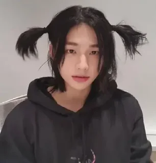 🫀 emoji hyunjin Telegram sticker 23 of 30