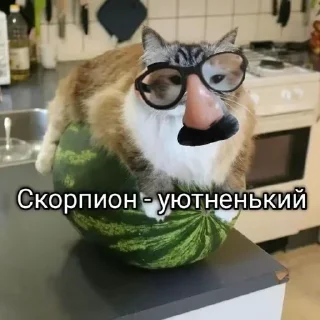 🌟 emoji Больше стикеров 👉🏻 @stickertg4 Telegram sticker 5 of 19