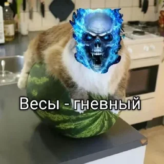 💀 emoji Больше стикеров 👉🏻 @stickertg4 Telegram sticker 8 of 19