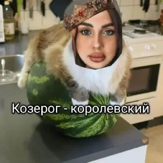 👑 emoji Больше стикеров 👉🏻 @stickertg4 Telegram sticker 7 of 19