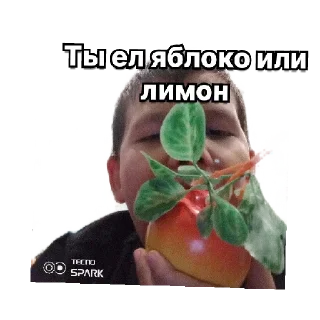 Sticker from Артём