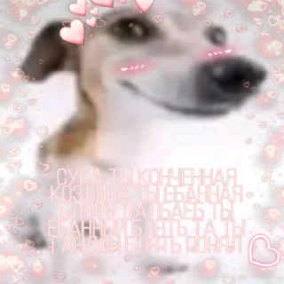 🐕 emoji Рожа Telegram sticker 13 of 14