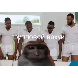 🐵 emoji Больше стикеров: @sticerru Telegram sticker 16 of 63