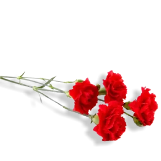 😇 emoji Разное Telegram sticker 13 of 120