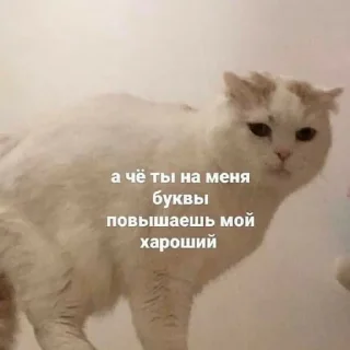 😒 emoji Для переговоров Telegram sticker 20 of 83