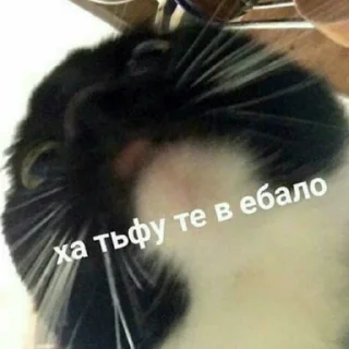 💦 emoji Для переговоров Telegram sticker 19 of 83