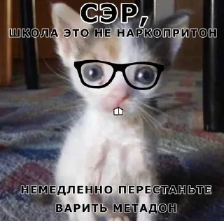 🤓 emoji Больше стикеров 👉🏻 @stickertg4 Telegram sticker 17 of 21