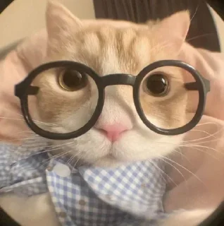 🤓 emoji Больше стикеров 👉🏻 @stickertg4 Telegram sticker 19 of 21