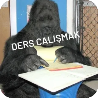🫥 emoji Yorgun goril Telegram sticker 8 of 43