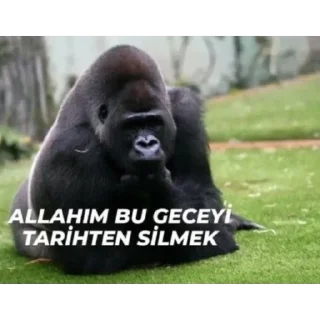 🫥 emoji Yorgun goril Telegram sticker 23 of 43