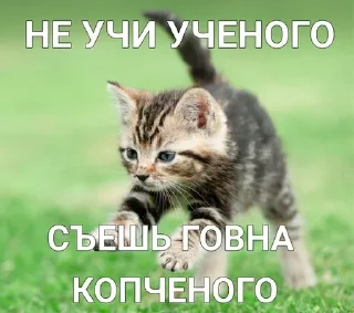 😍 emoji chatgpt в тг -> @sourcegpt Telegram sticker 8 of 10