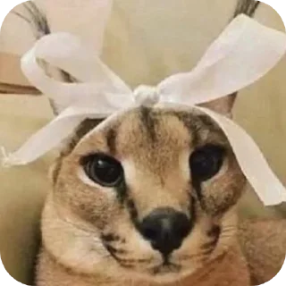 👍 emoji Стикеры егуски Telegram sticker 6 of 41
