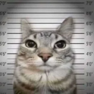 😂 emoji Бебебе @D1RN4 ➡️ @Ctikerubot Telegram sticker 3 of 120