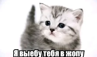 🌟 emoji ax kakoi vadim klasni Telegram sticker 14 of 108