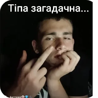 🖼 emoji Тоха ЛАШПЕДІК Telegram sticker 6 of 40