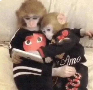 Sticker from monkeys