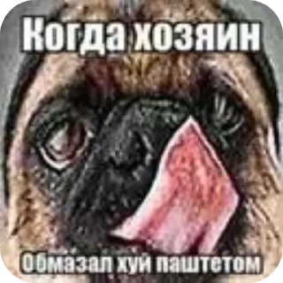 🔥 emoji Goida Telegram sticker 15 of 40