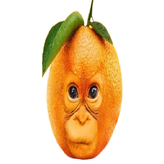 🍲 emoji Goida Telegram sticker 9 of 40