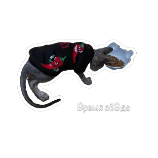 Sticker from Сима