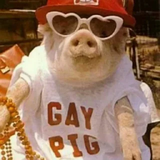 🖕 emoji Хрюши🐷 Telegram sticker 10 of 14