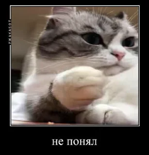 😐 emoji милки топ Telegram sticker 9 of 25