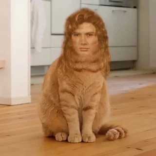 🐈 emoji @potomblin Мастейнятина Telegram sticker 12 of 114