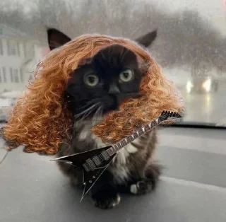 🐈 emoji @potomblin Мастейнятина Telegram sticker 18 of 114