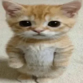 🥺 emoji 💕Стики тут: @sekstick Telegram sticker 12 of 71