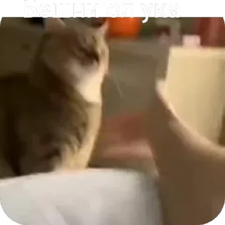 😎 emoji Дорам Telegram sticker 20 of 118