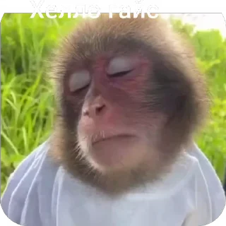 🙄 emoji Дорам Telegram sticker 10 of 118
