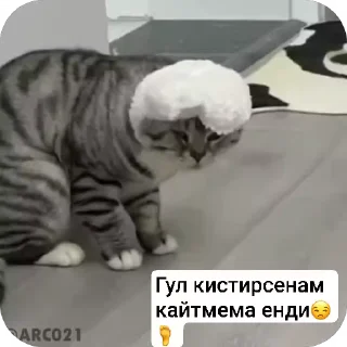 😐 emoji Дорам Telegram sticker 13 of 118