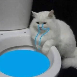 😢 emoji бандерштатський стікерпак Telegram sticker 10 of 120
