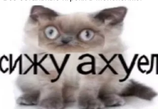😳 emoji Стикеры без названия Telegram sticker 15 of 19