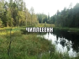 Sticker from Щитпост