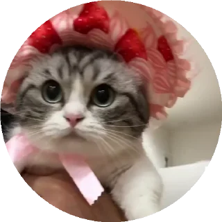 🍓 emoji Больше стиков тут: @stikery4 Telegram sticker 11 of 50