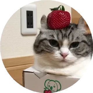 🍓 emoji Больше стиков тут: @stikery4 Telegram sticker 10 of 50