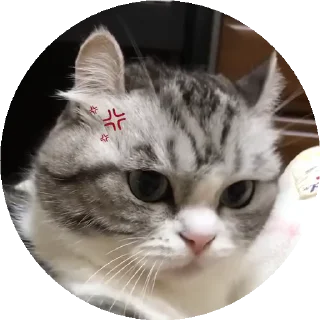 😡 emoji Больше стиков тут: @stikery4 Telegram sticker 23 of 50