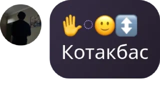 📼 emoji 𝐃𝐯𝐢𝐣 𝐏𝐚𝐫𝐢𝐬🪄 pack by @QuotLyBot Telegram sticker 18 of 26