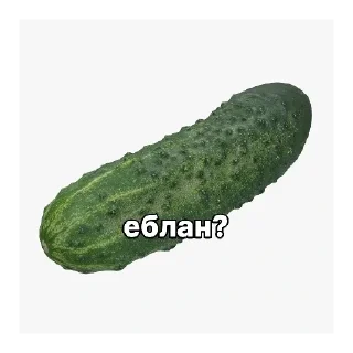 😐 emoji Иосиф Сталин Telegram sticker 12 of 33