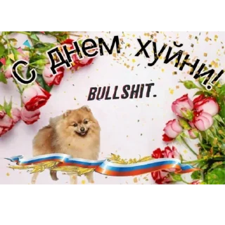 Sticker from Пуси джуси джуси пуси