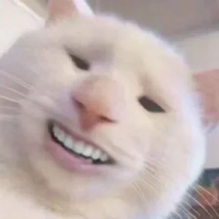 😰 emoji чьт, ок я ира или в попу Telegram sticker 18 of 36