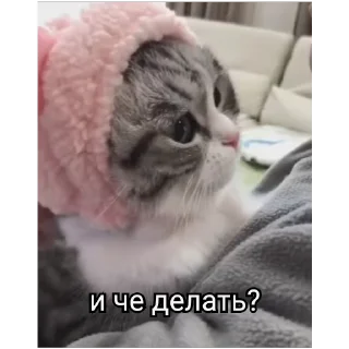 🧐 emoji РасКумарик @prstickers Telegram sticker 11 of 26