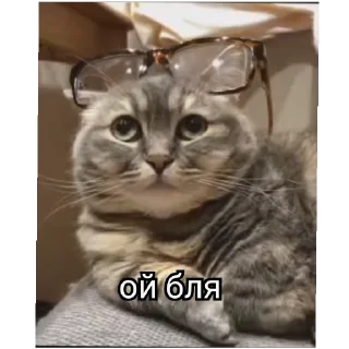 😶 emoji РасКумарик @prstickers Telegram sticker 9 of 26